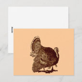 感謝祭トルコ シーズンカード (正面/裏面)