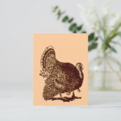 感謝祭トルコ シーズンポストカード (スタンド正面)