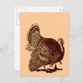 感謝祭トルコ シーズンポストカード (正面/裏面)