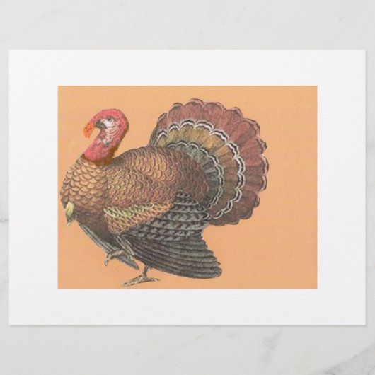 感謝祭トルコ チラシ (正面)