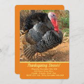 感謝祭トルコ 招待状 (正面/裏面)