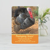 感謝祭トルコ 招待状 (スタンド正面)