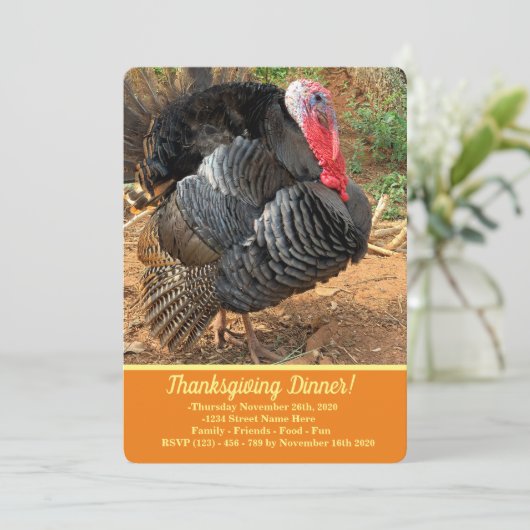 感謝祭トルコ 招待状 (スタンド正面)