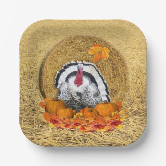 感謝祭ハーベスト紙プレート ペーパープレート (正面)