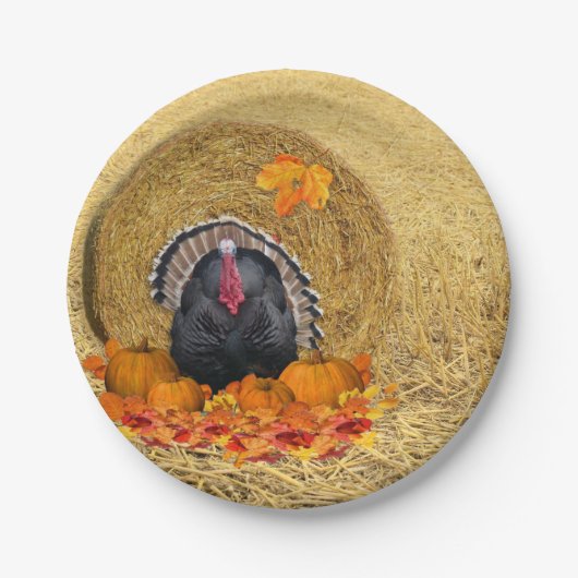 感謝祭ハーベスト紙プレート ペーパープレート (正面)