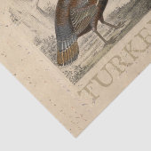 感謝祭ヴィンテージトルコの日の切り離し 薄葉紙 (詳細)