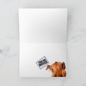 感謝祭招待状 招待状 (内部)