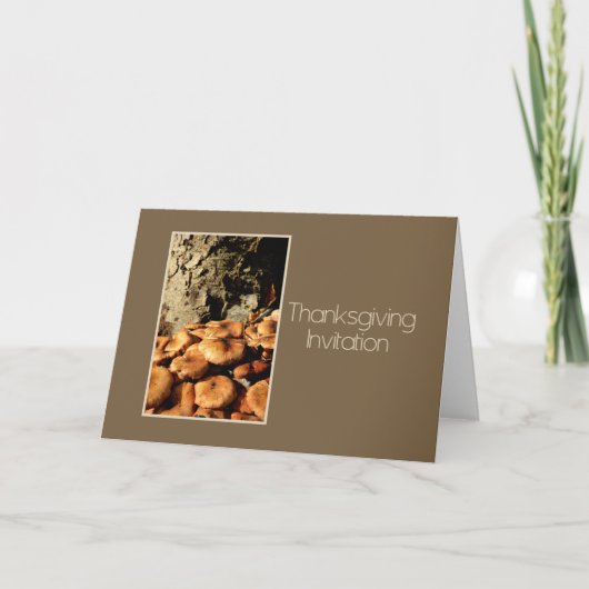 感謝祭招待状 招待状 (正面)