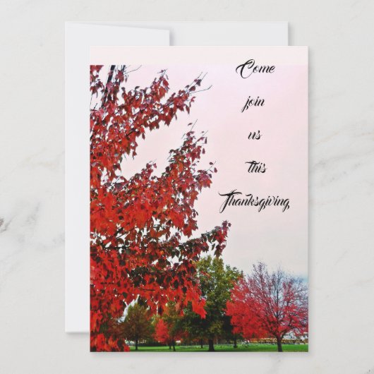 感謝祭招待状 招待状 (正面)