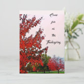 感謝祭招待状 招待状 (スタンド正面)