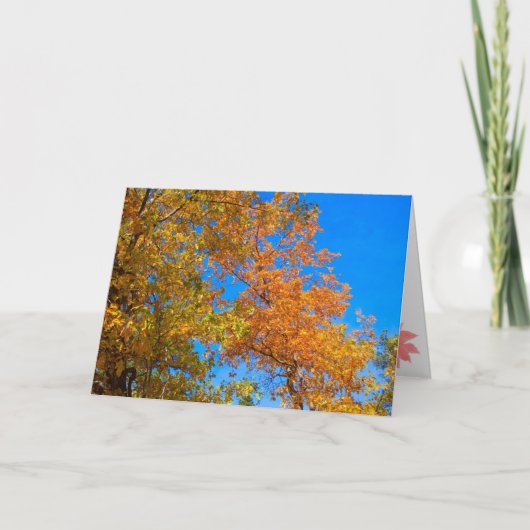 感謝祭秋カード2 シーズンカード (正面)