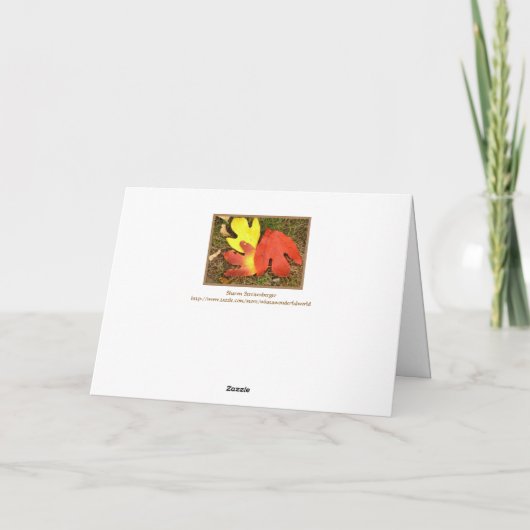 感謝祭離れ付き三気持ち休日C シーズンカード (裏面)