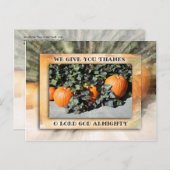 感謝祭1 シーズンポストカード (正面/裏面)