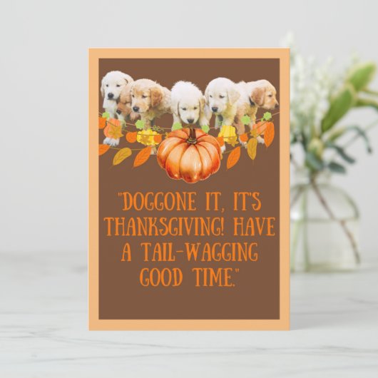 感謝祭 シーズンカード (スタンド正面)