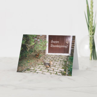 感謝祭、ロバート・E.リーエステート（バージニア） シーズンカード