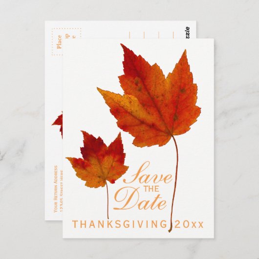 感謝祭 Save the Date メープルリーフ ポストカード (正面/裏面)