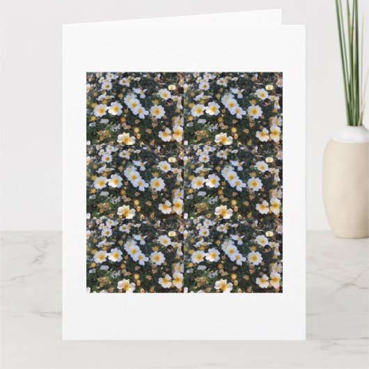 感謝表現:魅力的サンキューカード カード (正面)