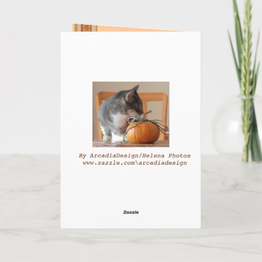 感謝賛美の挨拶カードで猫と シーズンカード (裏面)