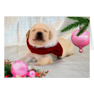 感謝週2のピンク