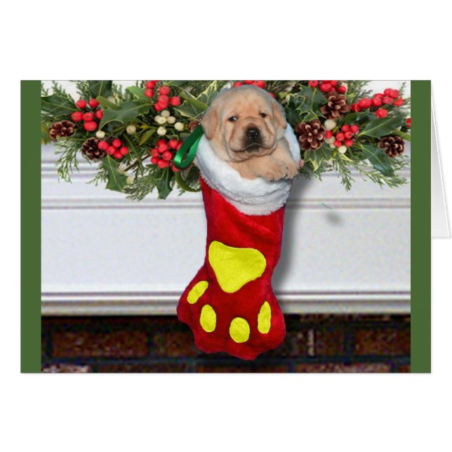 感謝週3の黄色 (正面横)