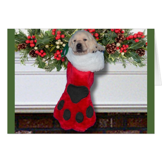 感謝週3の黒 (正面横)