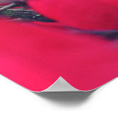 感謝 ポスター (角)