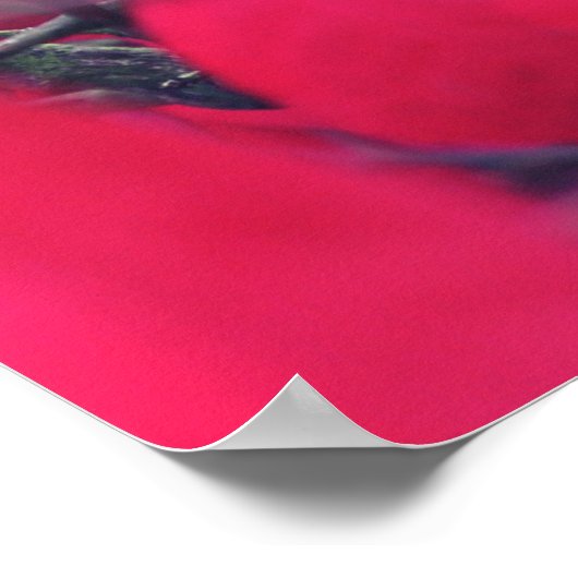 感謝 ポスター (角)