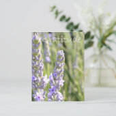 感謝 ポストカード (スタンド正面)