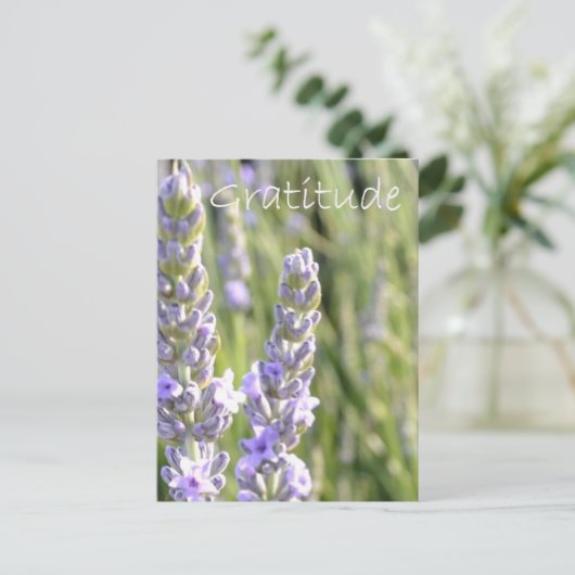 感謝 ポストカード (スタンド正面)