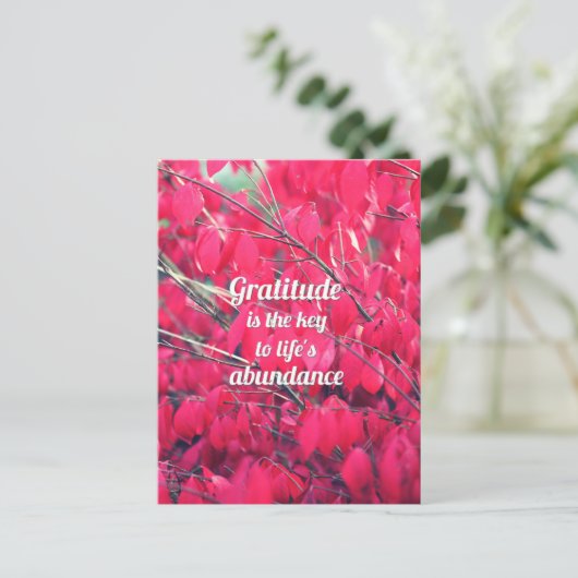 感謝 ポストカード (スタンド正面)