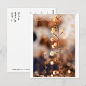 感謝 ポストカード (正面/裏面)