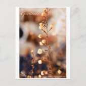 感謝 ポストカード (正面)