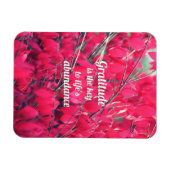 感謝 マグネット (横)