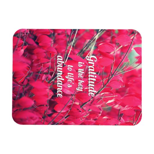 感謝 マグネット (横)