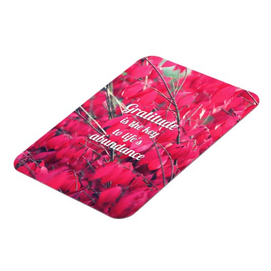 感謝 マグネット (左側)