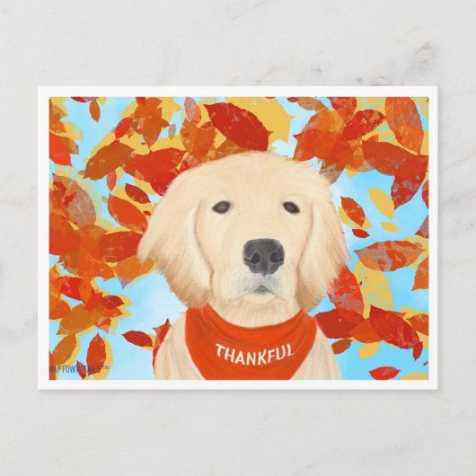 感謝 - 私の人生に落ちてきた ポストカード (正面)