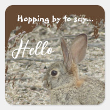 感謝Bunny写真の感謝の意男女兼用味