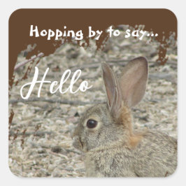 感謝Bunny写真の感謝の意男女兼用味 スクエアシール