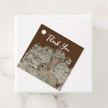 感謝Bunny写真の感謝の意男女兼用味