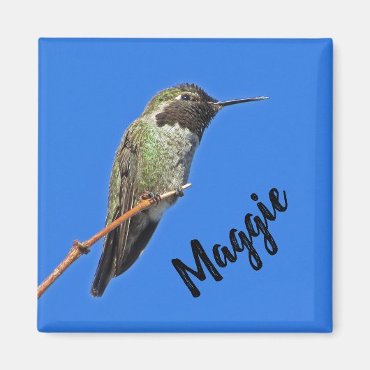 感謝Hummingbird写真自然評価 マグネット (正面)