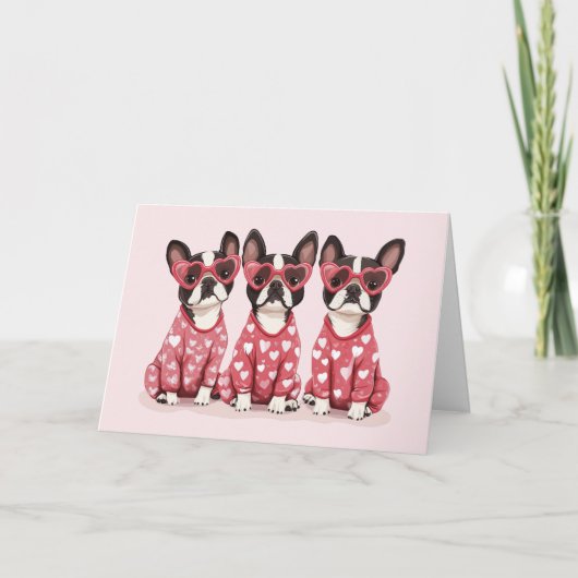 感謝Valentines Day Boston Terrier Dogs サンキューカード (正面)