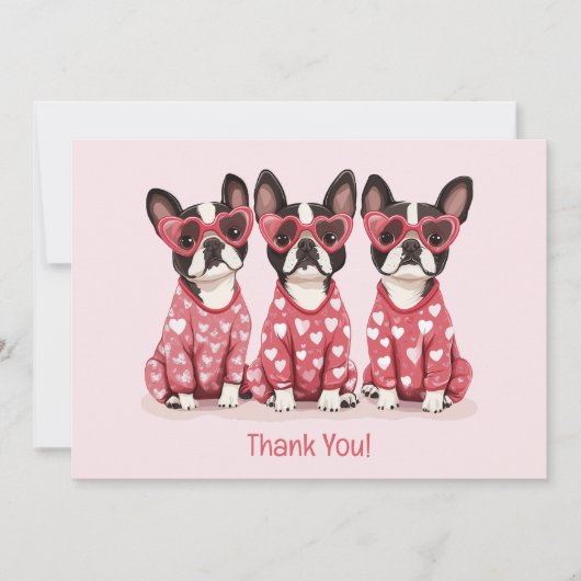 感謝Valentines Day Boston Terrier Dogs サンキューカード (正面)