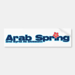慈善のプロジェクト: シリアの改革のアラビアの春 バンパーステッカー