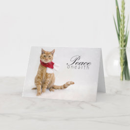 慈善のホリデーカード シーズンカード