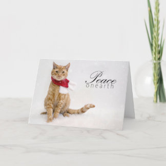 慈善のホリデーカード シーズンカード