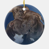 慈善の法律、ワシの洞穴の救助の天使 セラミックオーナメント (裏面)