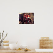 慈悲のポスターのない美しい女性 ポスター (キッチン)