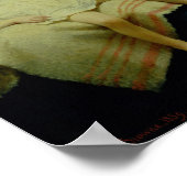 慈悲の姉妹， 1859 ポスター (角)