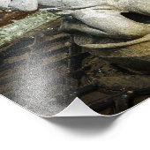 慈悲の泉詳細 フォトプリント            (角)