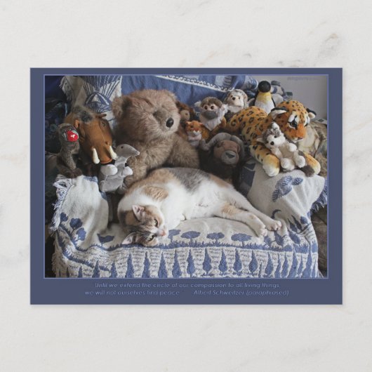 「慈悲の輪」ミリアム・キルマーrisingdove シーズンポストカード (正面)